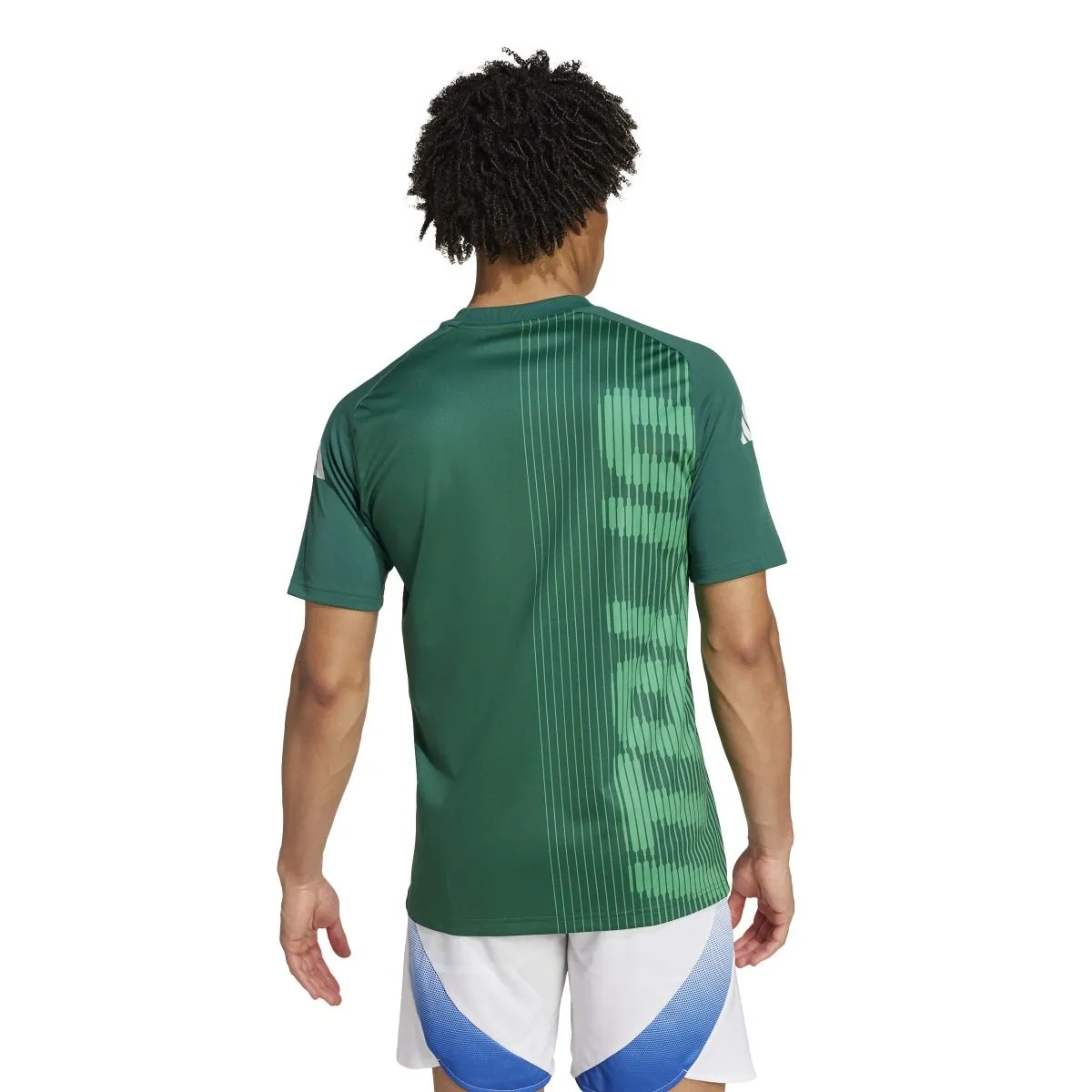 ADIDAS Maglia pre figc italia