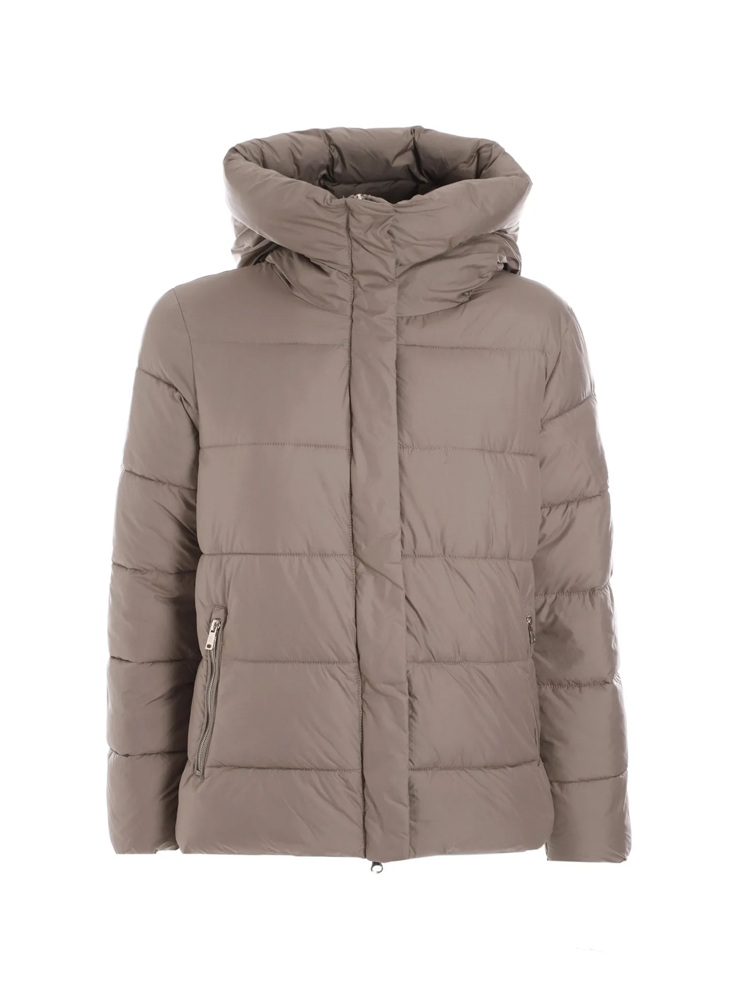 Conte Of Florence Piumini 6531007D