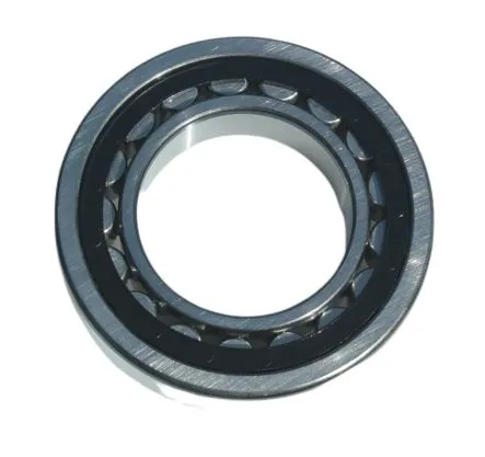 Cuscinetto a rullo RS PRO, Ø int. 45mm, Ø est. 100mm, guida larga 36mm
