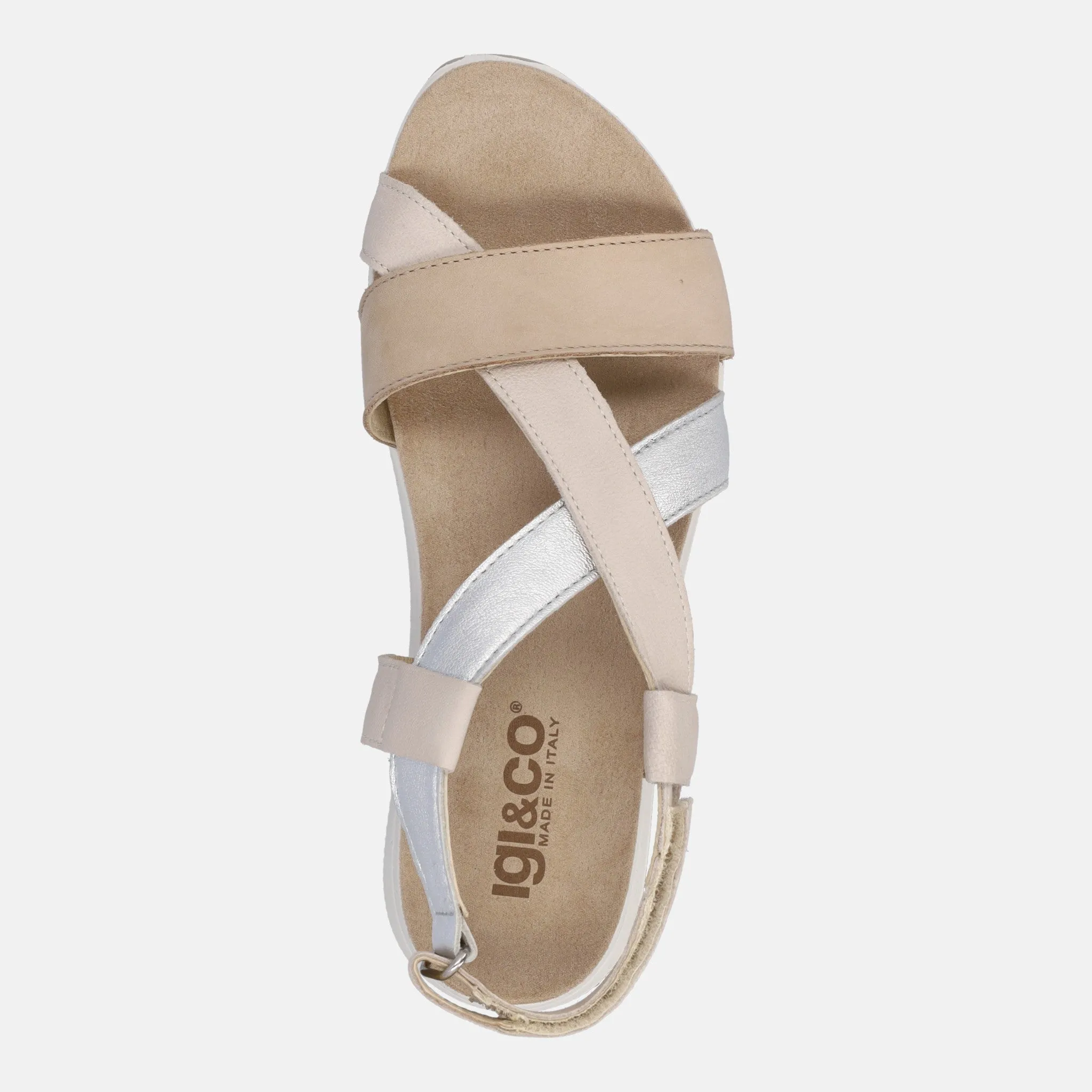 IGI & CO SINDY