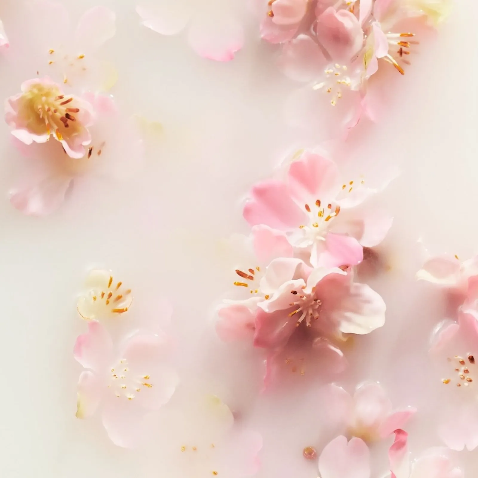  RITUALS   Il Rituale di Sakura - Diffusore per auto | 