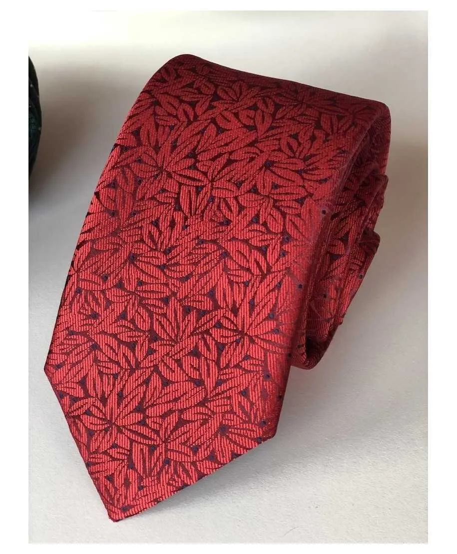 Tie, red and blue - Elegance